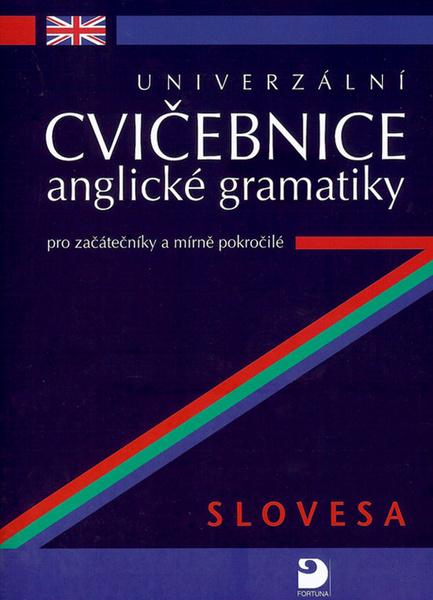 Levně Univerzální cvičebnice anglické gramatiky