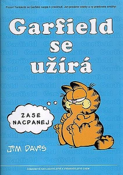 Levně Garfield se užírá