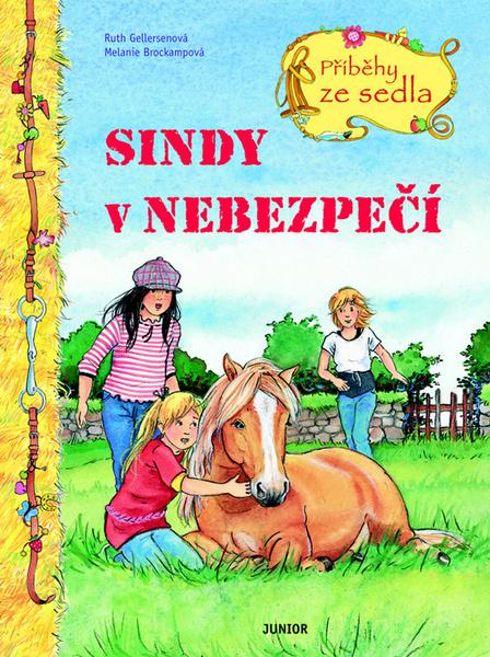 Sindy v nebezpečí - 978-80-7267-442-8