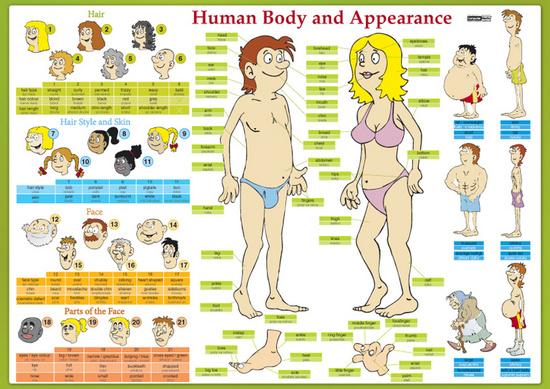 Karta Human Body and Appearance - 978-80-7402-098-8
