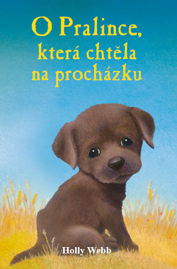 O pralince, která chtěla na procházku - 978-80-7211-413-9