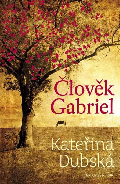 Člověk Gabriel - 978-80-7462-310-3