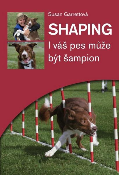 Shaping - 978-80-7428-171-6
