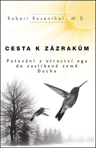 Levně Cesta k zázrakům