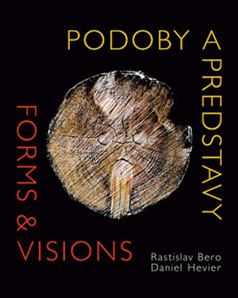 Podoby a predstavy Forms & Visions - 978-80-89057-40-5