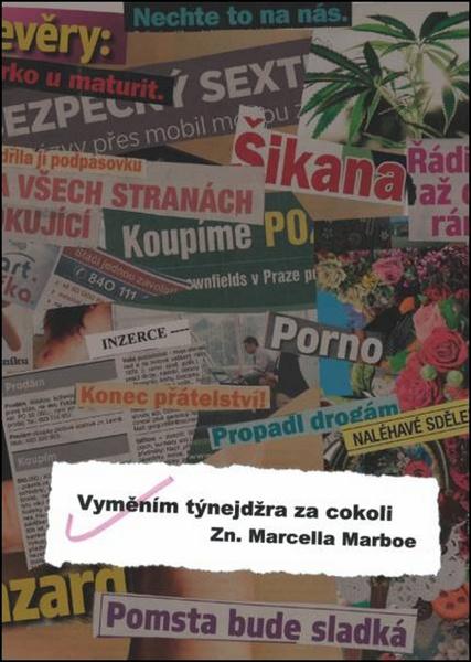 Vyměním týnejdžra za cokoli - 978-80-7405-310-8