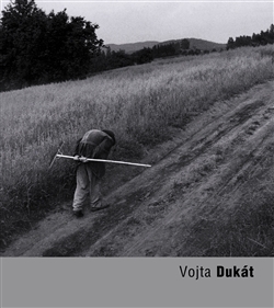 Vojta Dukát - 978-80-7215-463-0