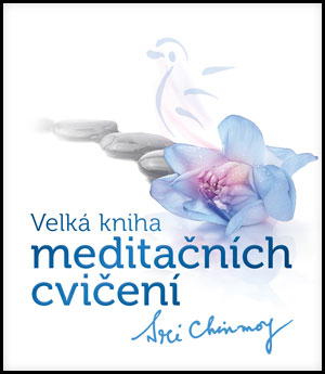 Levně Velká kniha meditačních cvičení