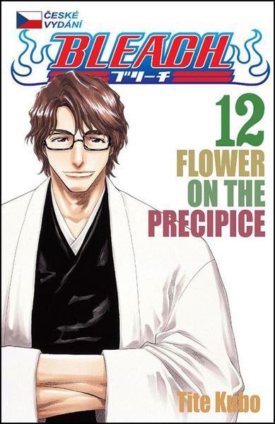 Levně Bleach 12
