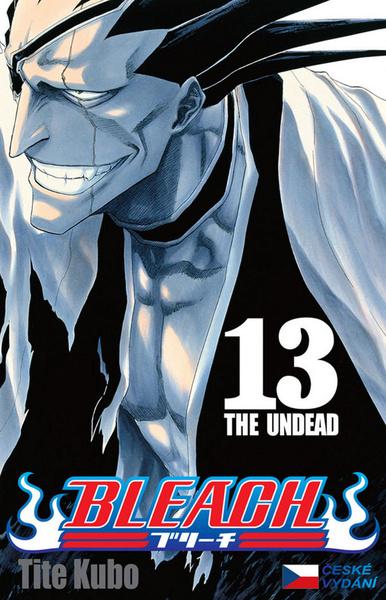 Levně Bleach 13