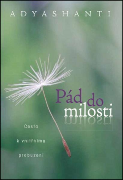 Levně Pád do milosti