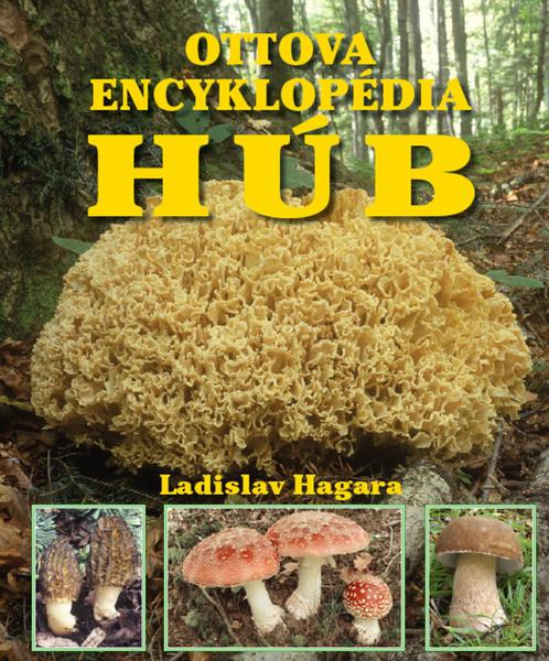 Ottova encyklopédia húb - 978-80-7451-408-1