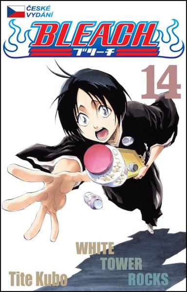 Levně Bleach 14