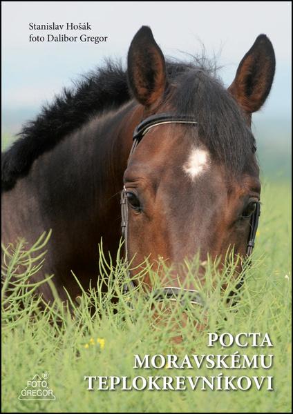 Levně Pocta moravskému teplokrevníkovi