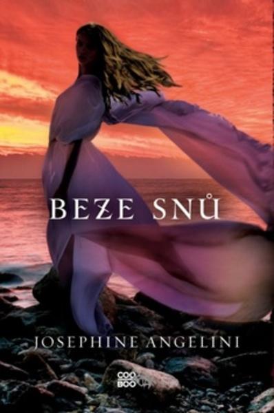Beze snů - 978-80-7447-693-8