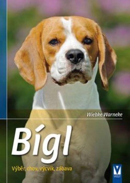 Bígl - 978-80-7236-927-0