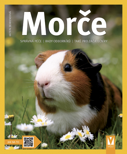 Morče - 978-80-7236-945-4