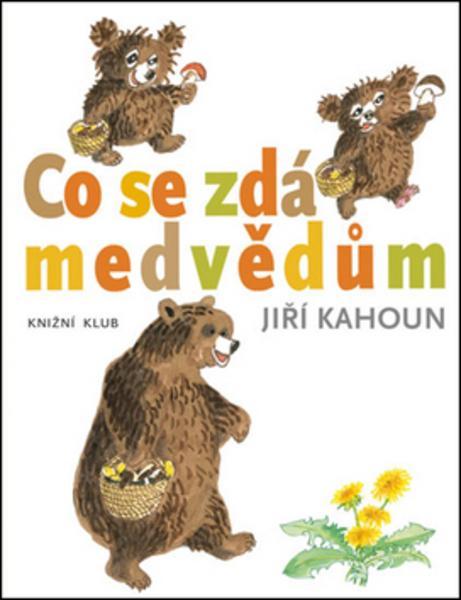 Co se zdá medvědům - 978-80-242-4864-6