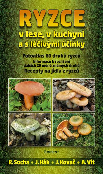 Ryzce - 978-80-7281-494-7