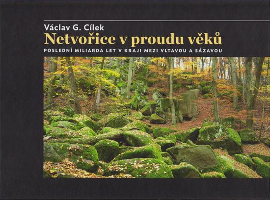 Levně Netvořice v proudu věků