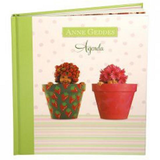 Levně Agenda - Anne Geddes