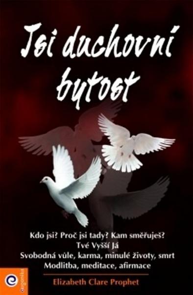Jsi duchovní bytost - 978-80-8100-192-5