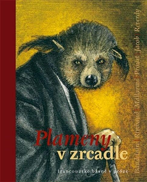 Plameny v zrcadle - 978-80-87595-48-0