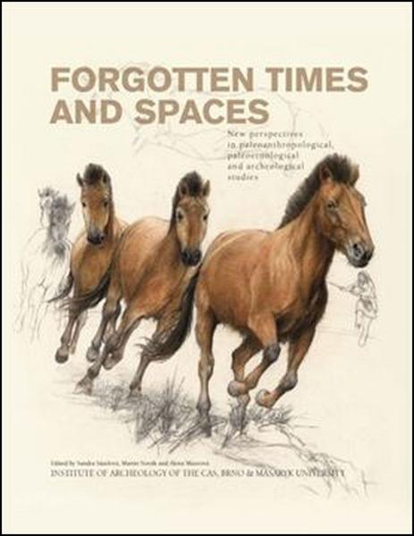 Forgotten times and spaces - 978-80-210-7781-2