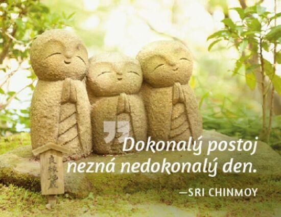 Magnet na lednici Dokonalý postoj...