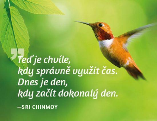 Magnet na lednici Teď je chvíle, kdy...