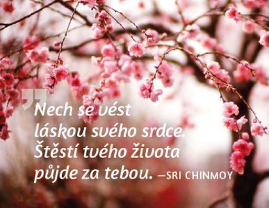 Magnet na lednici Nech se vést láskou...