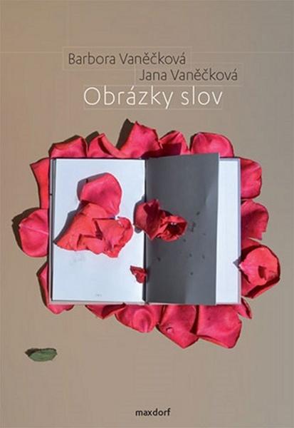 Levně Obrázky slov