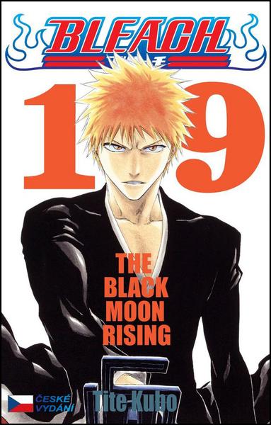 Levně Bleach 19