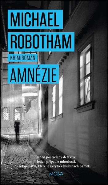 Amnézie - 978-80-243-6965-5