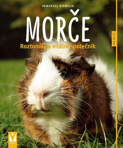 Morče - 978-80-7541-017-7