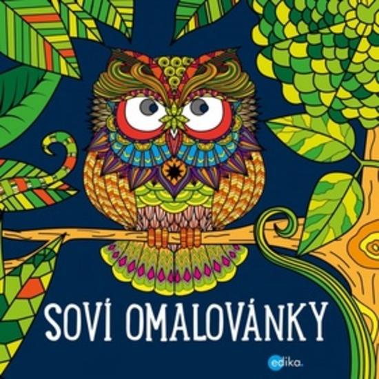 Soví omalovánky - 978-80-266-0908-7
