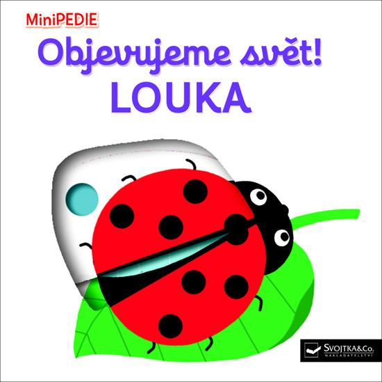 Levně Objevujeme svět! Louka