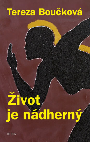 Život je nádherný - 978-80-207-1725-2