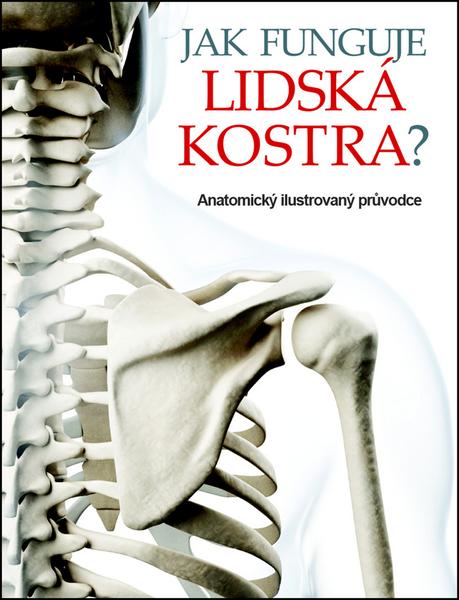 Jak funguje lidská kostra? - 978-80-256-1893-6