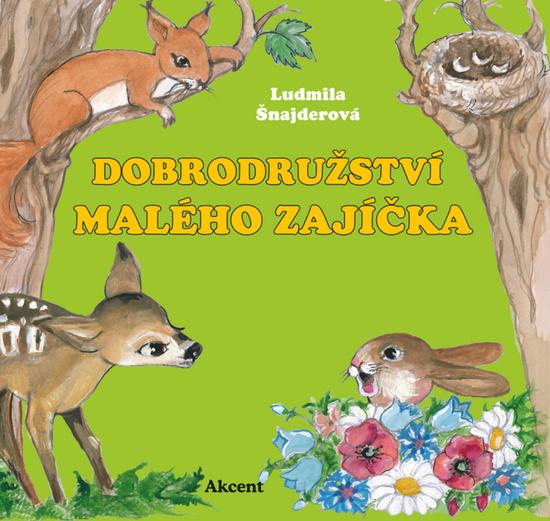 Levně Dobrodružství malého zajíčka