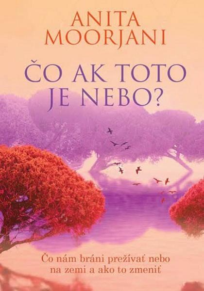 Čo ak toto je nebo? - 978-80-8109-301-2