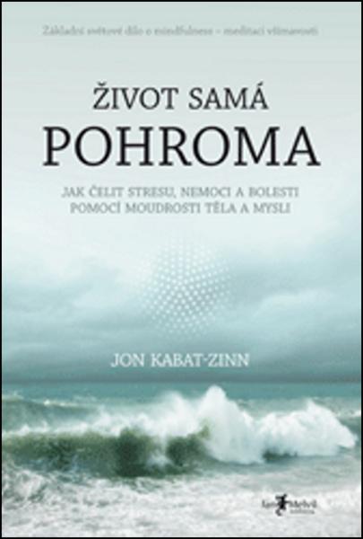 Levně Život samá pohroma