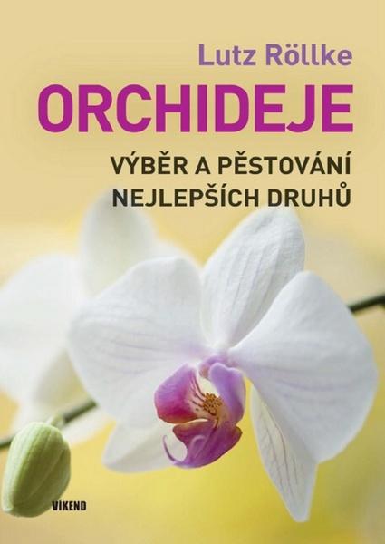Levně Orchideje