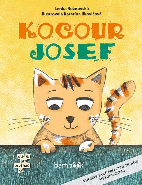 Kocour Josef - 978-80-271-0280-8