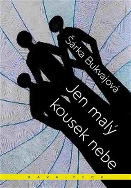 Jen malý kousek nebe - 978-80-87169-83-4