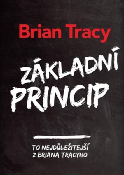 Základní princip - 978-80-7261-520-9