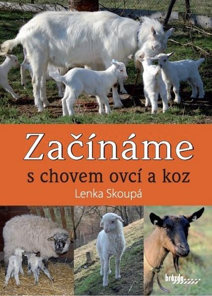 Levně Začínáme s chovem ovcí a koz