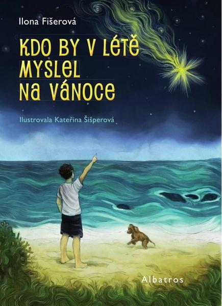 Kdo by v létě myslel na Vánoce - 978-80-00-04821-5