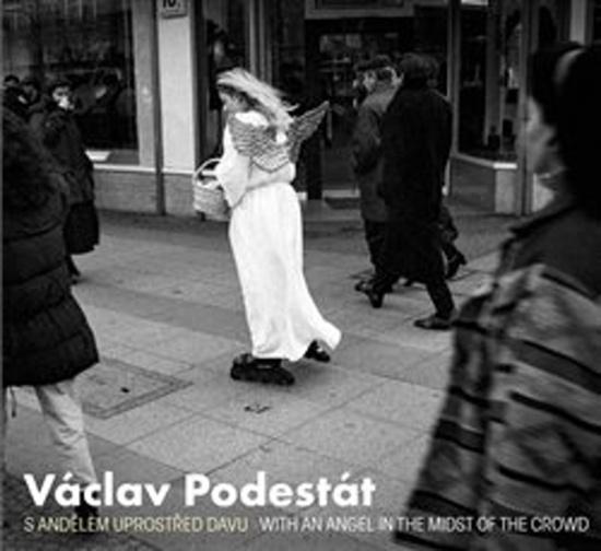 Václav Podestát - 978-80-7437-238-4