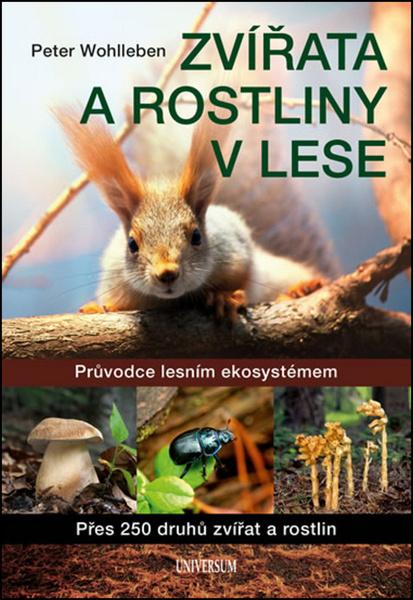 Zvířata a rostliny v lese - 978-80-242-5765-5